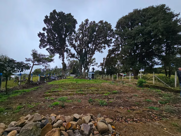 Flat Lot for Sale in Cañón del Guarco