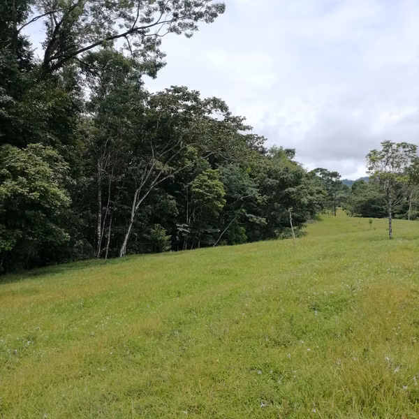 ¡Oportunidad de Inversión Única! Finca de 7.5 Hectáreas con Alto Potencial de Desarrollo