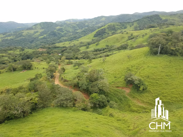 VENTA DE ESPECTACULAR FINCA-ALAJUELA-SAN RAMÓN-PIEDADES SUR