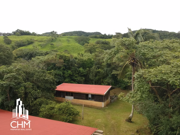 VENTA DE ESPECTACULAR FINCA-ALAJUELA-SAN RAMÓN-PIEDADES SUR