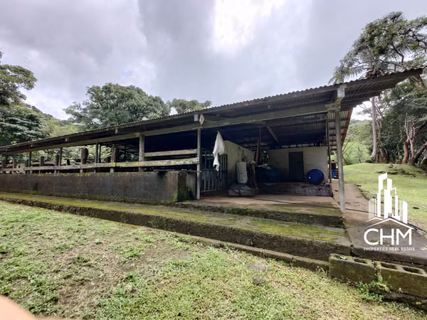 VENTA DE ESPECTACULAR FINCA-ALAJUELA-SAN RAMÓN-PIEDADES SUR