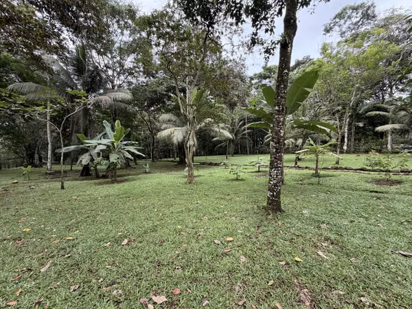 Quinta for sale, Aguas Zarcas, San Carlos