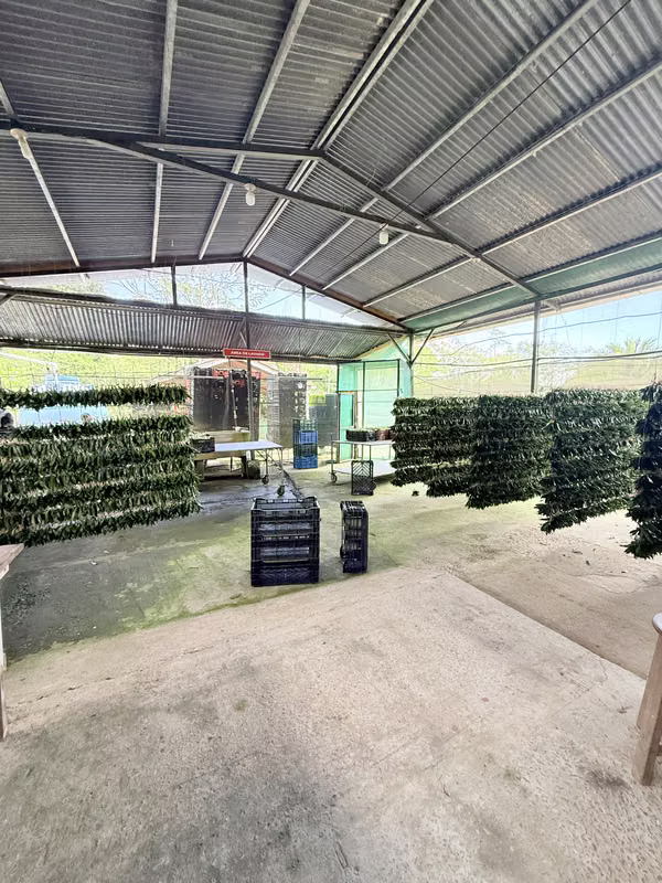 Venta de propiedad en Jabillos, Turrialba 7.743 m²