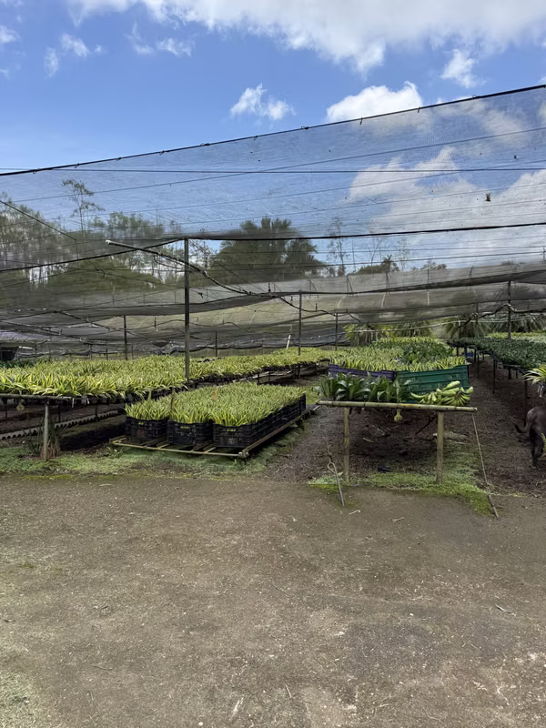 Venta de propiedad en Jabillos, Turrialba 7.743 m²