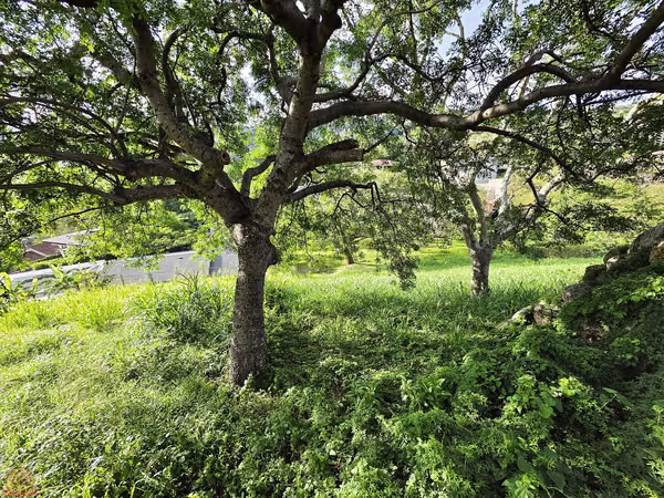 Lote Premium de 1.071 m² en Valle Escondido, Santa Ana | Hermosas Vistas | Cerca de Ruta 27 y el SAC