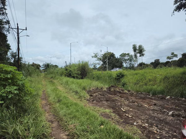 Lote Comercial en Palmares, Pérez Zeledón – 1.397 m² frente a Interamericana