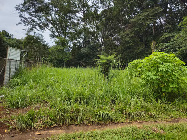 Lote Comercial en Palmares, Pérez Zeledón – 1.397 m² frente a Interamericana