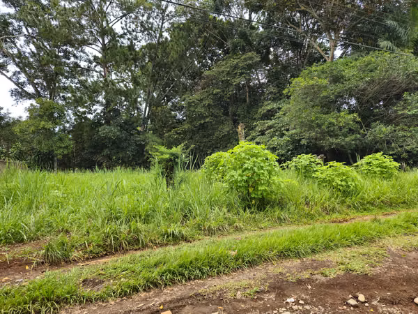 Lote Comercial en Palmares, Pérez Zeledón – 1.397 m² frente a Interamericana
