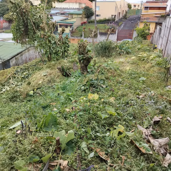 Land for sale in San Pedro , San Jose KE ID 27128