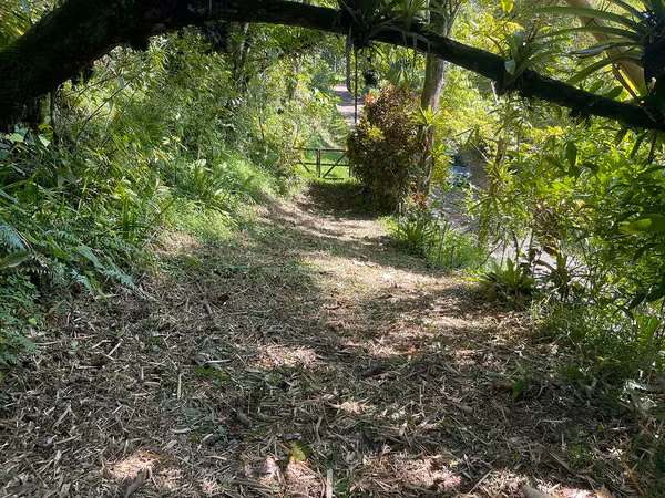 Oportunidad de Inversión: Finca Reforestada de 8 Acres en las Montañas de Puriscal