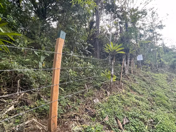 Oportunidad de Inversión: Finca Reforestada de 8 Acres en las Montañas de Puriscal