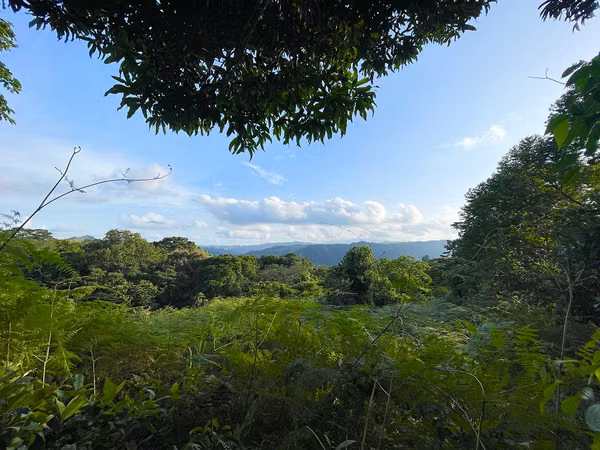 Oportunidad de Inversión: Finca Reforestada de 8 Acres en las Montañas de Puriscal