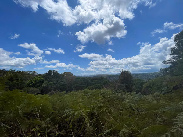Oportunidad de Inversión: Finca Reforestada de 8 Acres en las Montañas de Puriscal
