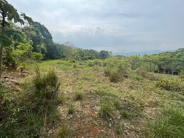 Lote a menos de 5 minutos de la 27 en el campo de Atenas