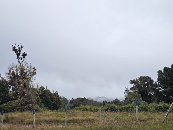 Lote Plano de 1.000 m² con Pozo y Vista al Irazú en Cartago