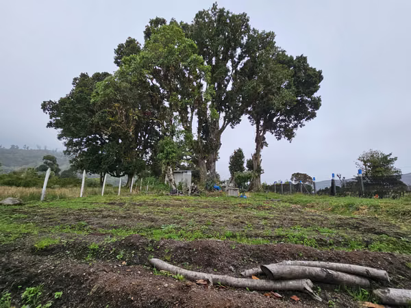 Lote Plano de 1.000 m² con Pozo y Vista al Irazú en Cartago