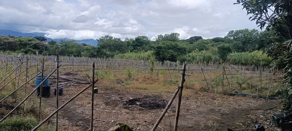 SAN JOAQUIN VENDO TERRENO MIXTO.