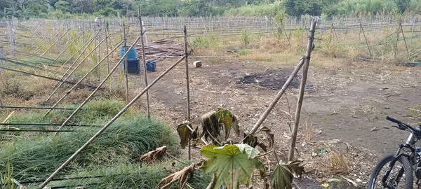 SAN JOAQUIN VENDO TERRENO MIXTO.
