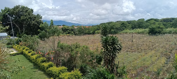 SAN JOAQUIN VENDO TERRENO MIXTO.