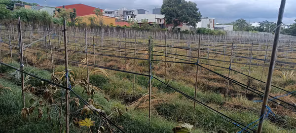 SAN JOAQUIN VENDO TERRENO MIXTO.