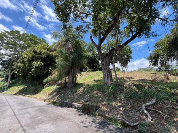 Land for Sale in Orotina
