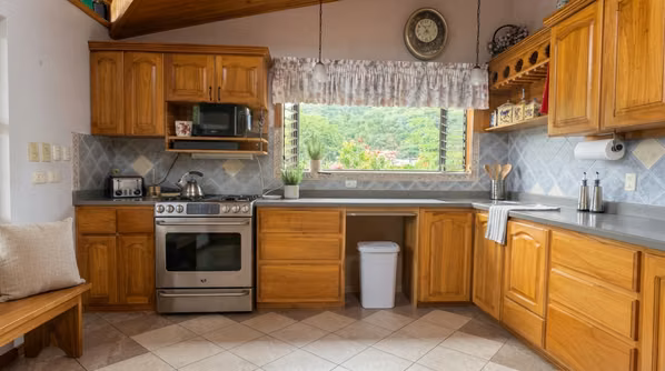 Finca Plana con 2 Casas en Venta Palomo Cartago 16.000 m²