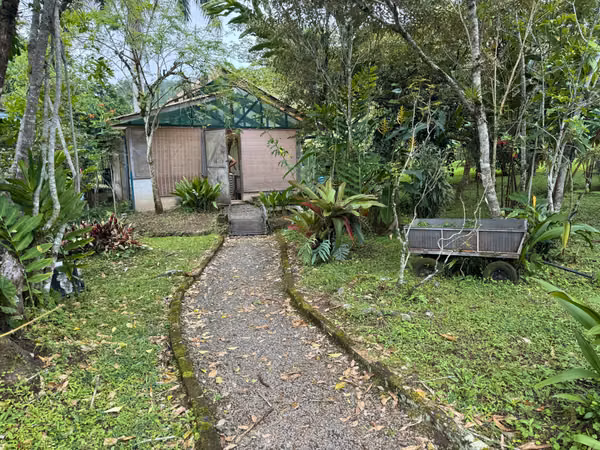Finca Plana con 2 Casas en Venta Palomo Cartago 16.000 m²