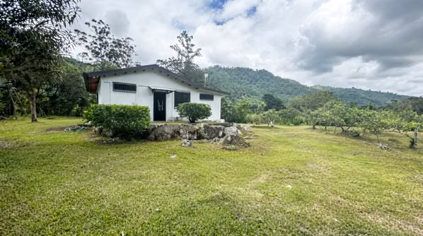Finca Plana con 2 Casas en Venta Palomo Cartago 16.000 m²