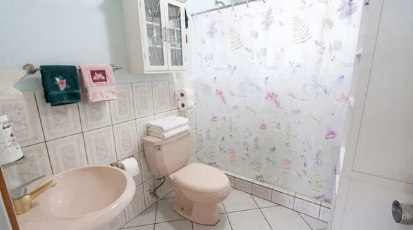 Finca Plana con 2 Casas en Venta Palomo Cartago 16.000 m²