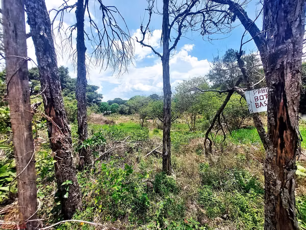 Lote Industrial 8.545m² en El Coyol | Uso de Suelo Industrial Aprobado