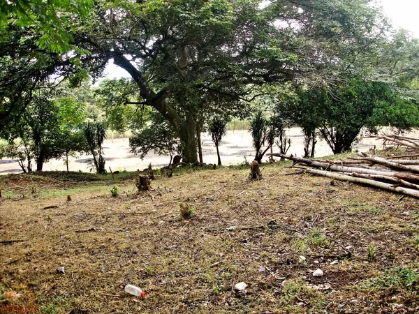 Lote Industrial 8.545m² en El Coyol | Uso de Suelo Industrial Aprobado
