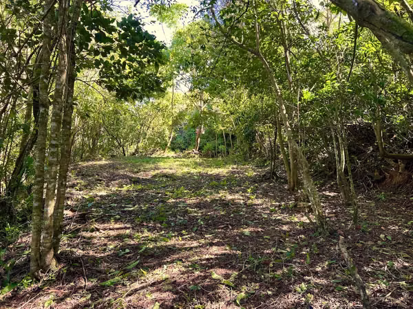 LOVELY Property -1,455 m² in TARBACA, Aserrí.