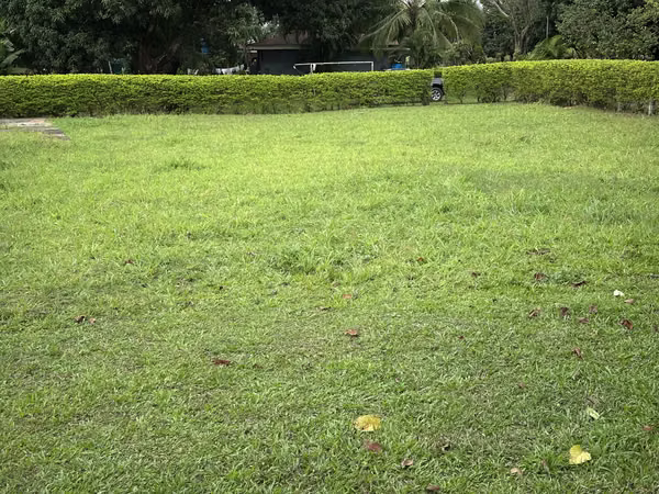 Venta Lote 1000 m2 en Orotina, Alajuela