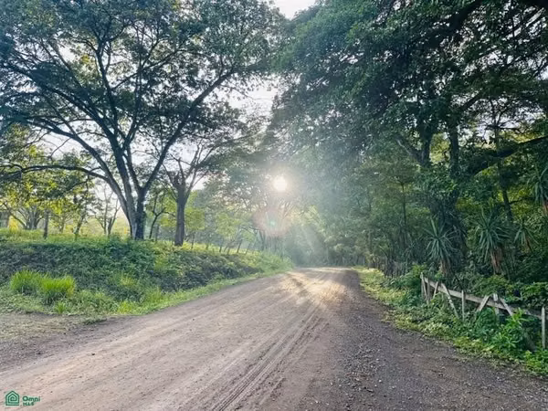 OPORTUNIDAD DE INVERSIÓN — La Cruz, Guanacaste | 44 acres con Eco Lodge