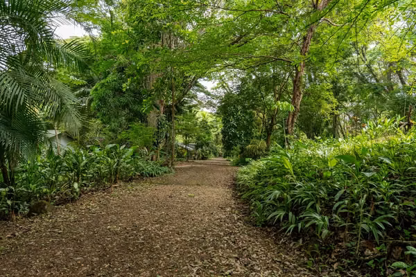 OPORTUNIDAD DE INVERSIÓN — La Cruz, Guanacaste | 44 acres con Eco Lodge