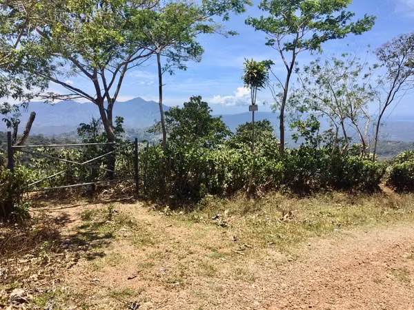 Venta finca San Ramón cafetalera 90 mill colones
