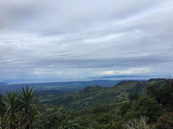 Venta finca San Ramón cafetalera 90 mill colones