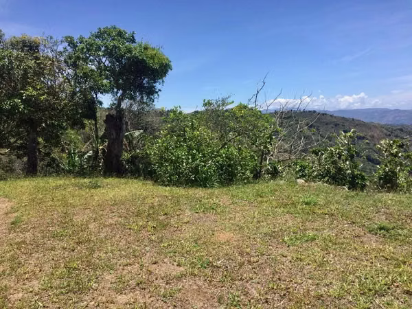 Venta finca San Ramón cafetalera 90 mill colones