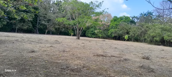 Terreno de 10.000 m² con Cabaña, Bosque y Agua Propia en Guanacaste