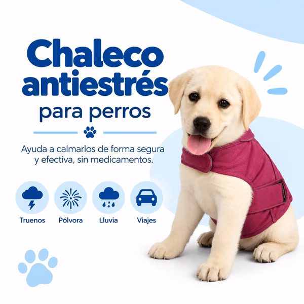 Anti-stress vest for dog size S