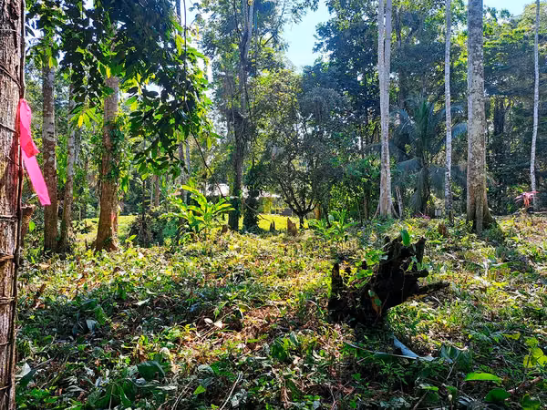 Lote con Vista al Mar en Punta Uva