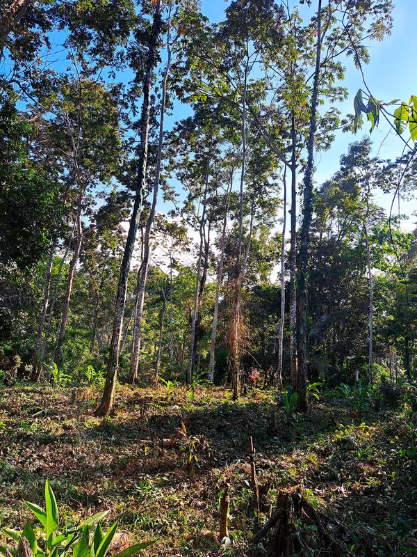 Lote con Vista al Mar en Punta Uva