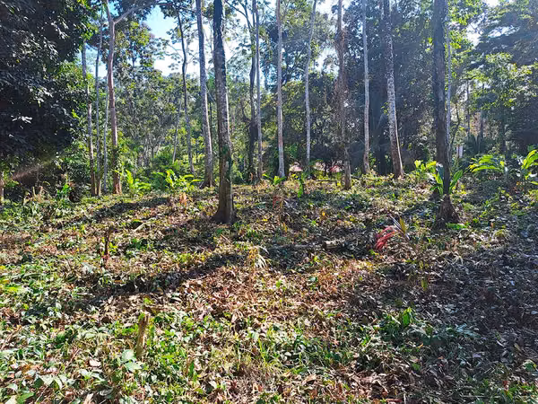 Lote con Vista al Mar en Punta Uva