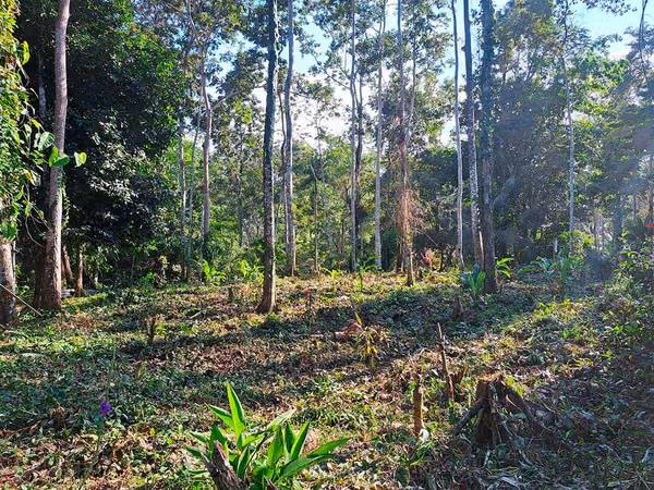 Lote con Vista al Mar en Punta Uva