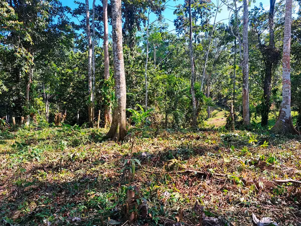 Lote con Vista al Mar en Punta Uva