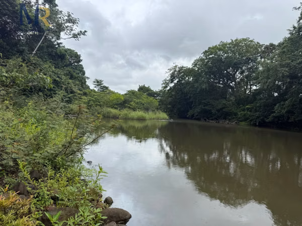 212.25-Acre Farm for Sale with Year-Round River  Agricultural & Livestock Investment Opportunity