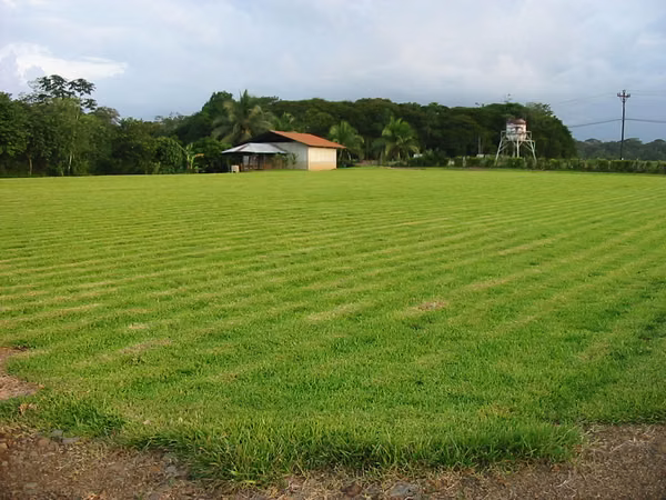 Finca en sarapiqui
