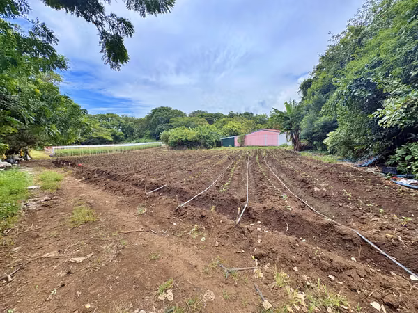 Venta terreno para desarrollo inmobiliario, La Guácima. (IC)