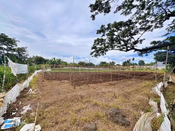 Venta terreno para desarrollo inmobiliario, La Guácima. (IC)