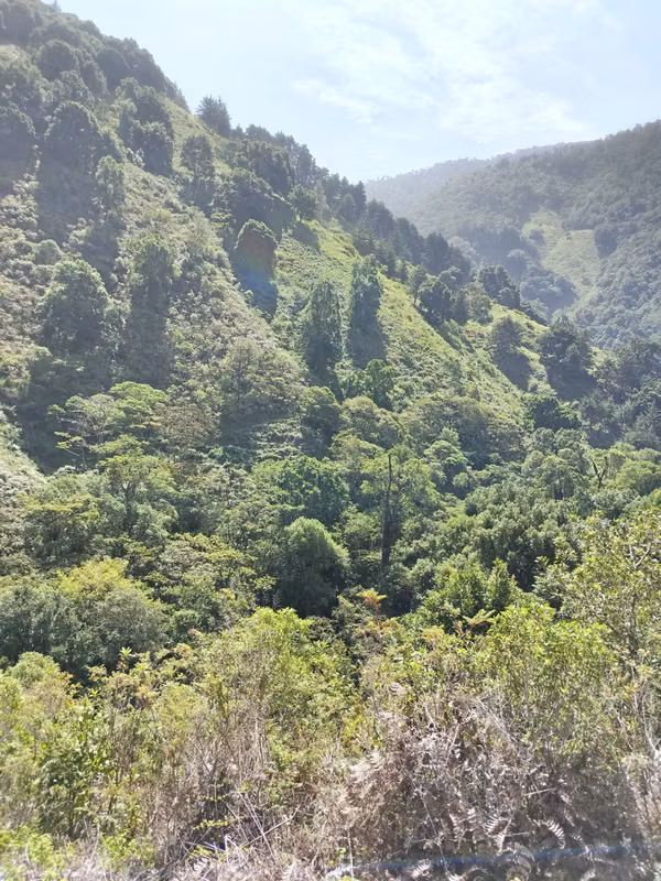  52-Hectare Farm in Copey de Dota | Own Water Source, Producing Blackberries